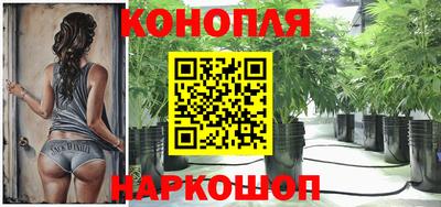 spice Аргун