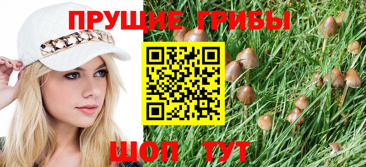 Псилоцибиновые грибы GOLDEN TEACHER  Вход с VPN  Братск 